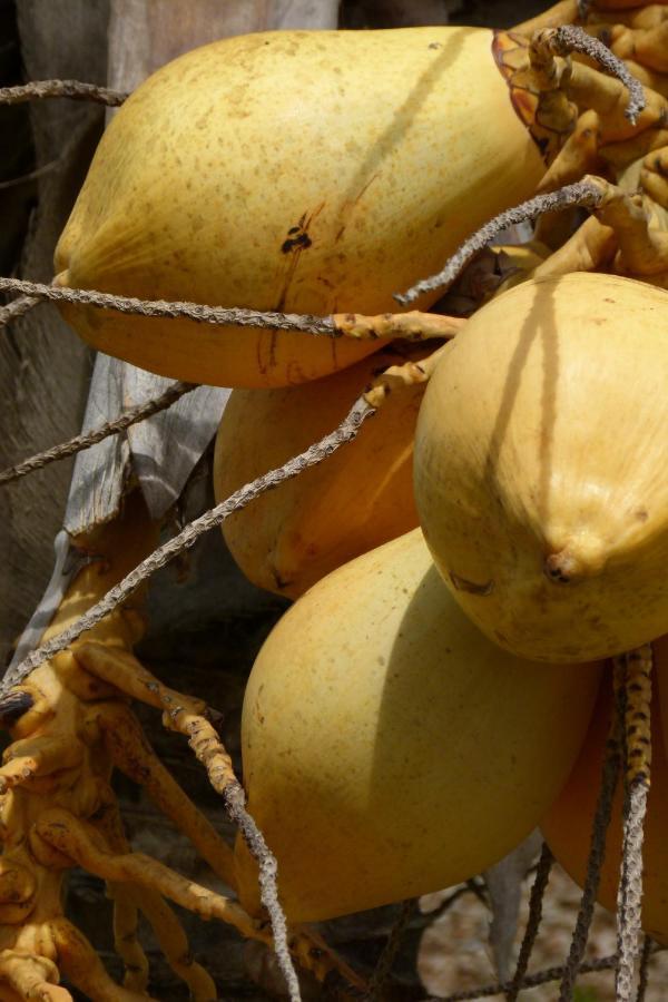 Peponi Hotel Lamu - Kenya Shela ภายนอก รูปภาพ